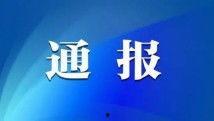 国产无吗在线,探索本土影视新风尚